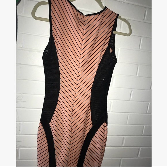 Coral Fitted Dress - Picture 3 of 4